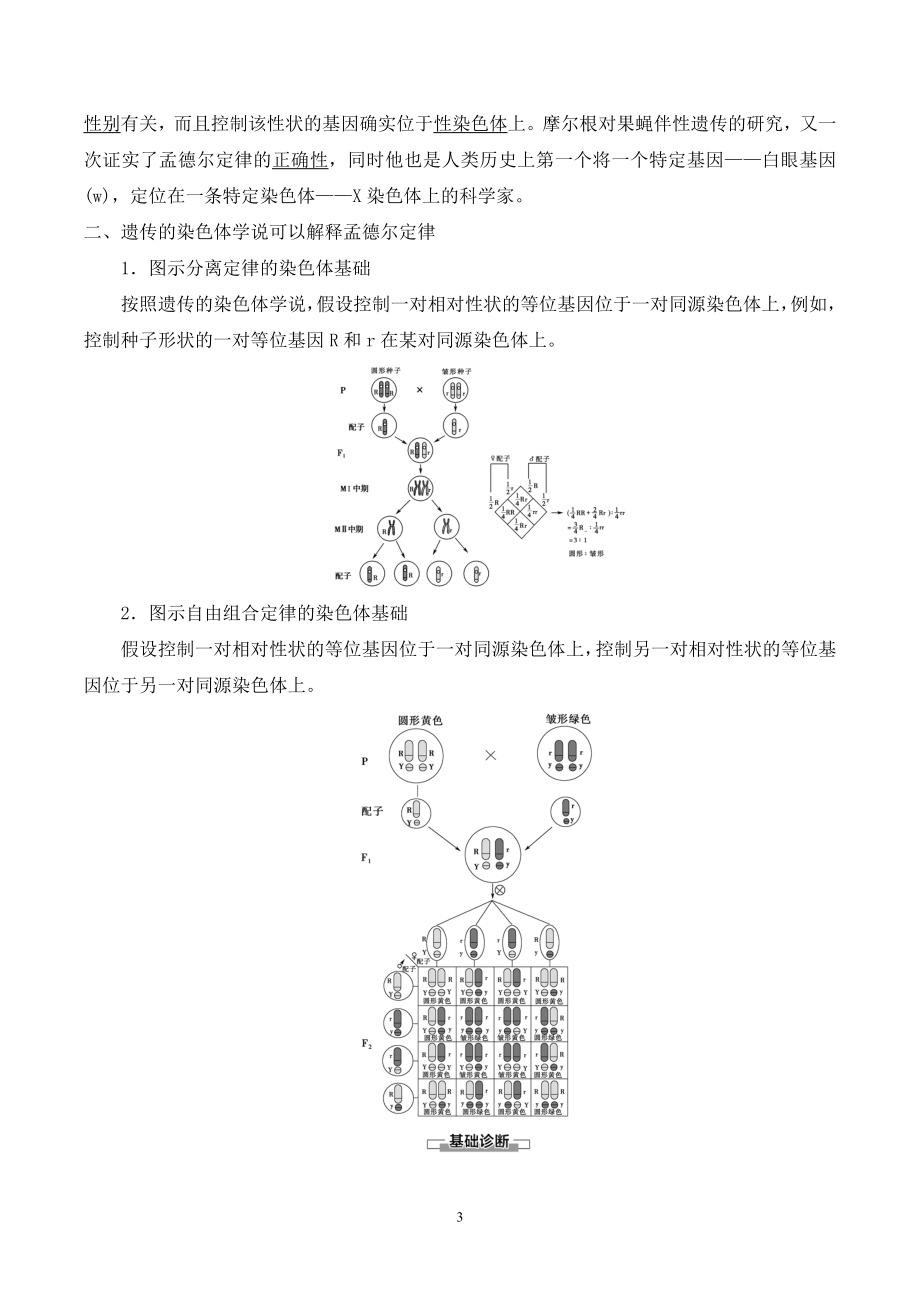 2.2基因伴随染色体传递 教案（高中生物浙科版（2019）必修第二册）_第3页
