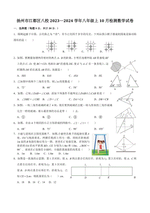 江苏省扬州市江都区八校2023—2024学年八年级上10月检测数学试卷（含答案）