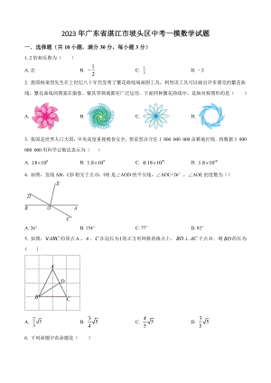 2023年广东省湛江市坡头区中考一模数学试卷（含答案解析）