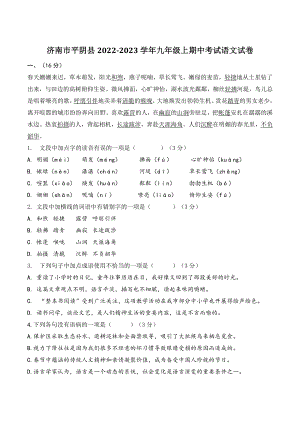 山东省济南市平阴县2022-2023学年九年级上期中考试语文试卷（含答案）