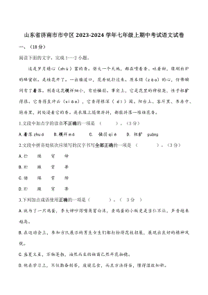 山东省济南市市中区2023-2024学年七年级上期中考试语文试卷（含答案）