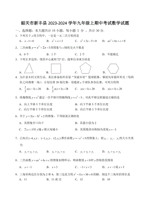 广东省韶关市新丰县2023-2024学年九年级上期中考试数学试卷（含答案）