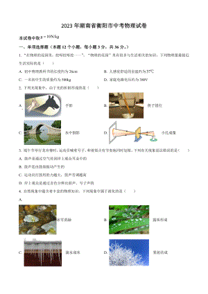 2023年湖南省衡阳市中考物理试卷（含答案解析）