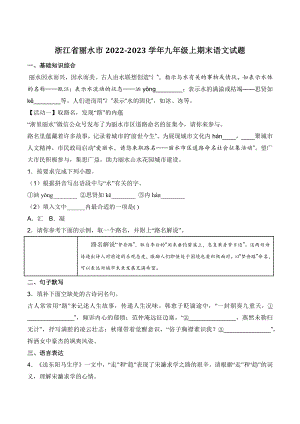 浙江省丽水市2022-2023学年九年级上期末语文试卷（含答案）