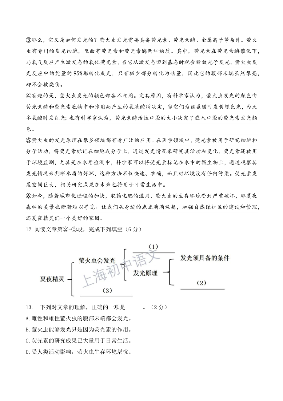 上海市普陀区2023年七年级上期中考试语文试卷（含答案）_第3页