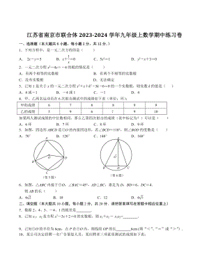 江苏省南京市联合体2023-2024学年九年级上数学期中练习试卷（含答案）