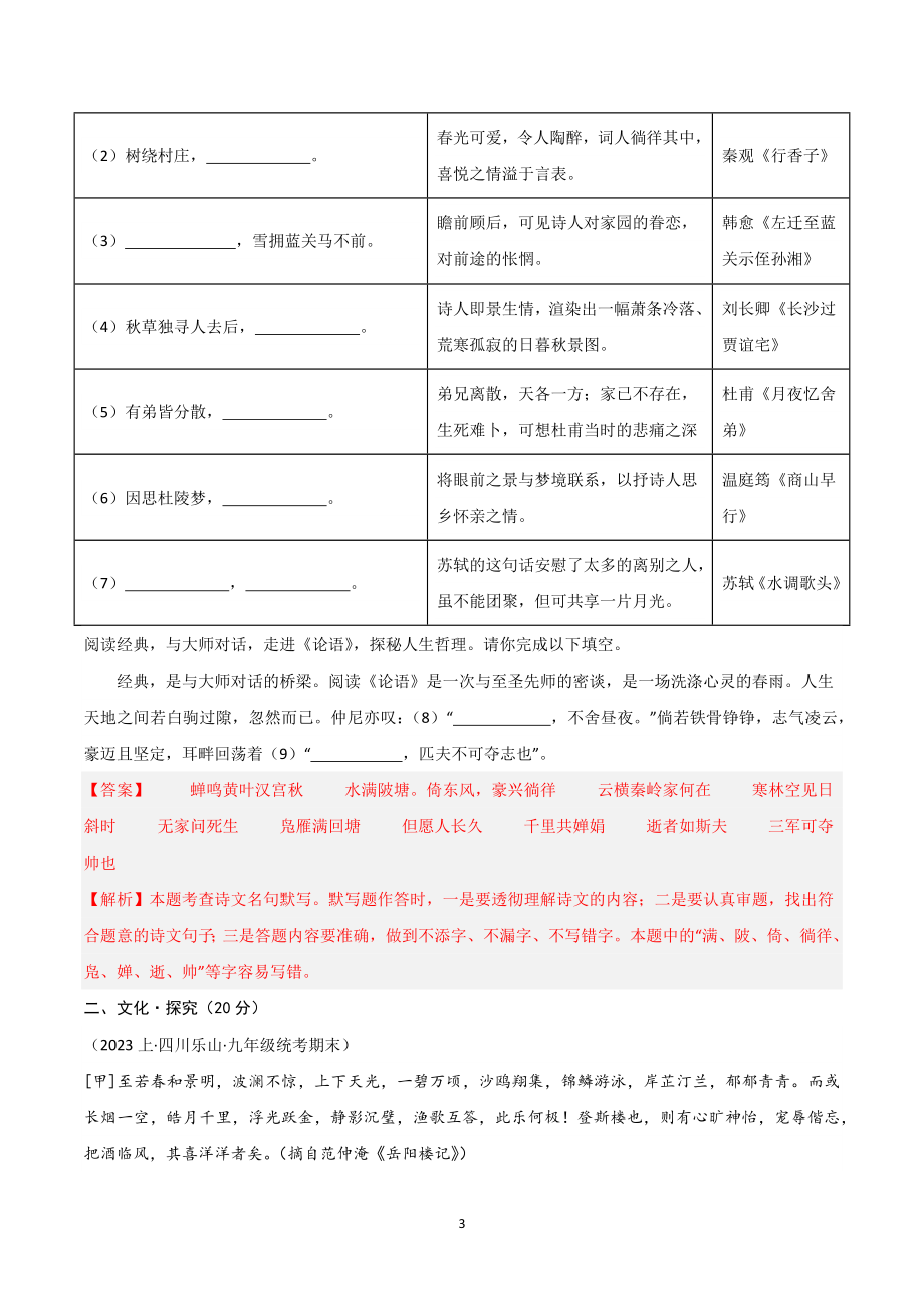 2023-2024学年九年级语文期末模拟试卷含答案解析（杭州专用）_第3页