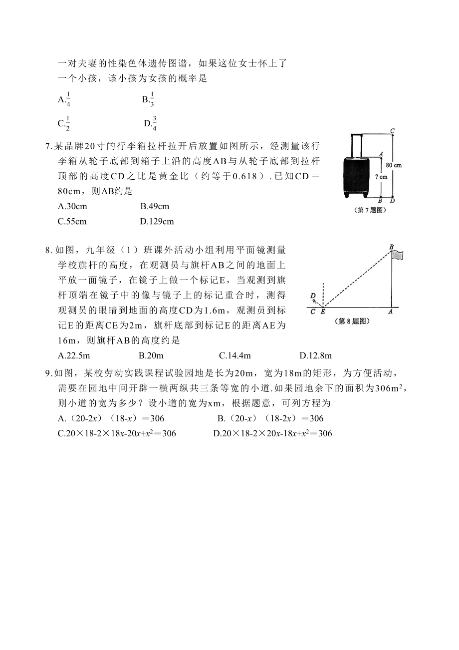 2023年广东省深圳市中考适应性考试数学试卷（含答案）_第2页