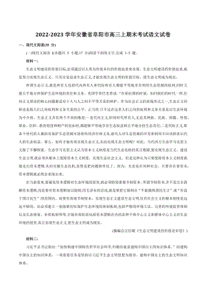 2022-2023学年安徽省阜阳市高三上期末考试语文试卷（含答案）