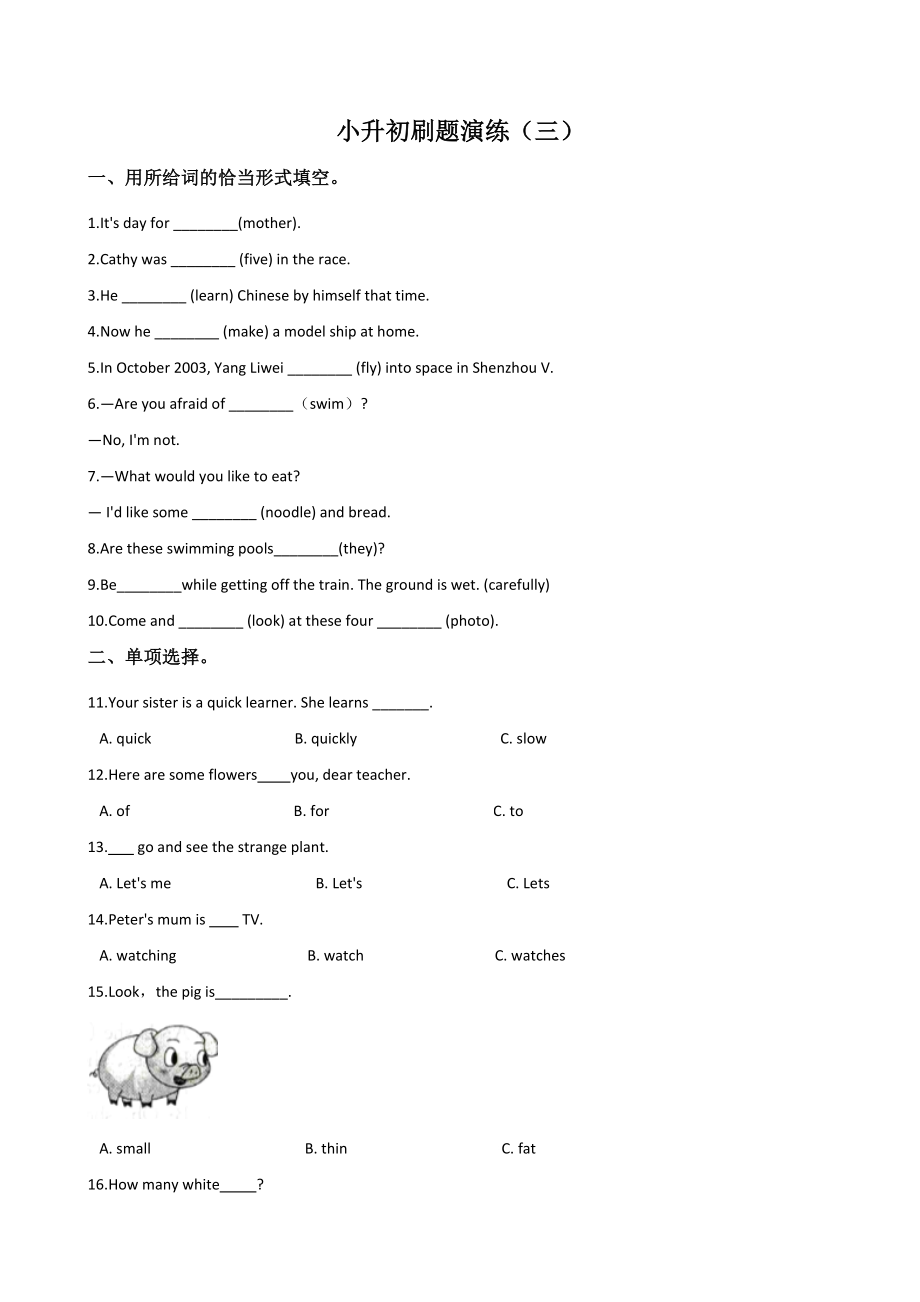 人教PEP六年级下册英语小升初刷题演练（三）含答案_第1页