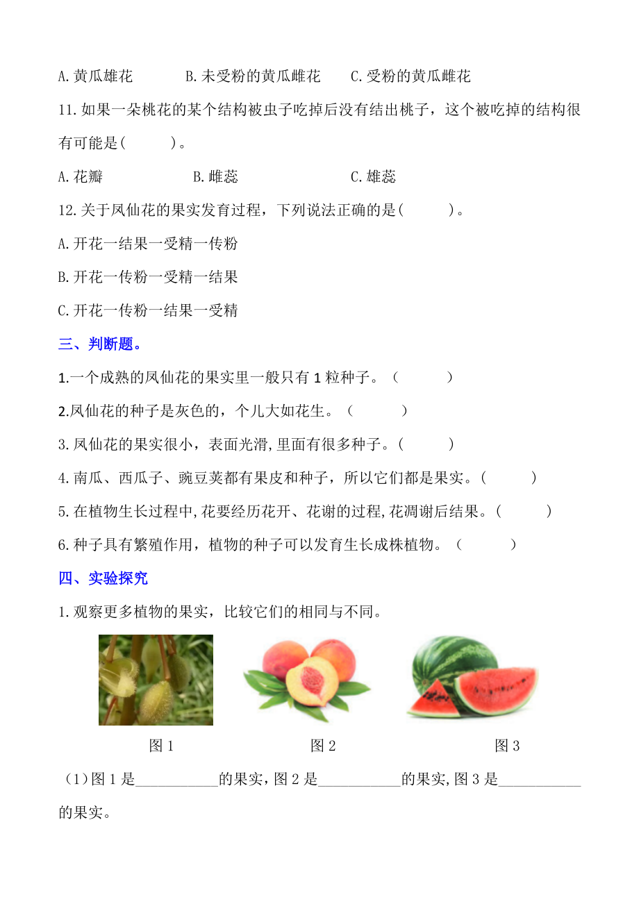 1.6果实和种子 同步练习（含答案）_第3页