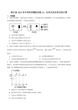 浙江省2023年中考科学试题模拟训练11：化学式及化学式的计算（含答案解析）