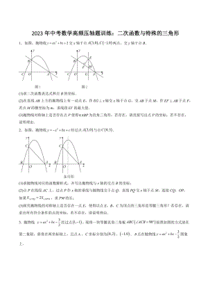 2023年中考数学高频压轴题训练：二次函数与特殊的三角形（含答案）