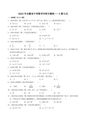 2023年安徽省中考数学冲刺专题训练1：数与式（含答案解析）