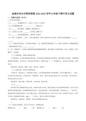 江苏省盐城市东台市第四联盟2022-2023学年九年级下期中语文试卷（含答案解析）