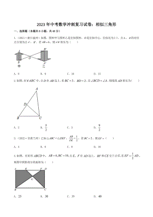 2023年中考数学冲刺复习试卷：相似三角形（含答案）
