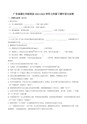 广东省湛江市徐闻县2022-2023学年七年级下期中语文试卷（含答案解析）