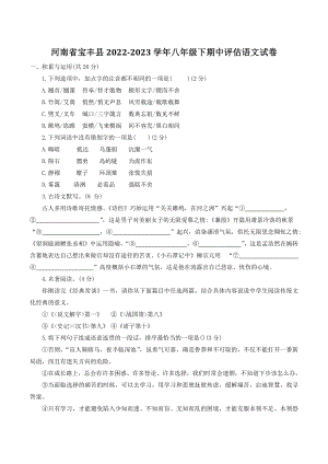 河南省平顶山市宝丰县2022-2023学年八年级下期中评估语文试卷（含答案）