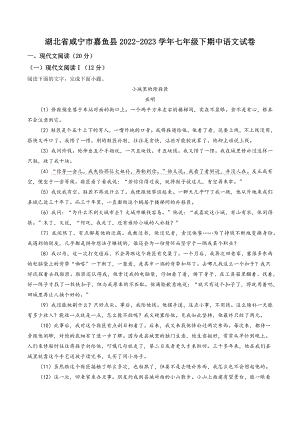 湖北省咸宁市嘉鱼县2022-2023学年七年级下期中语文试卷（含答案解析）