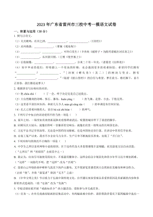 2023年广东省雷州市三校中考一模语文试卷（含答案解析）