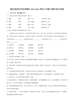 湖北省武汉市东西湖区2022-2023学年八年级下期中语文试试卷（含答案解析）