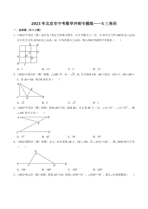 2023年北京市中考数学冲刺专题训练5：三角形（含答案解析）