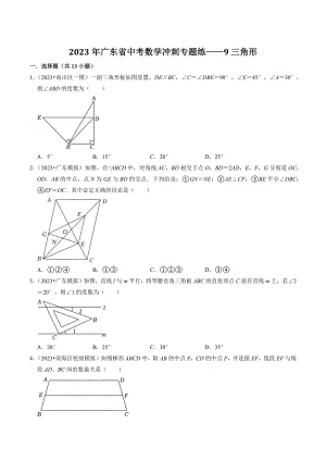 2023年广东省中考数学冲刺专题训练9：三角形（含答案解析）