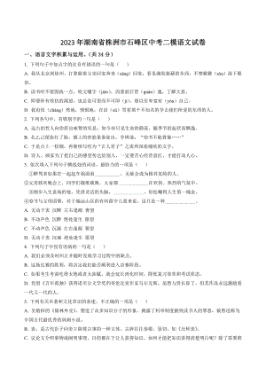 2023年湖南省株洲市石峰区中考二模语文试卷（含答案解析）