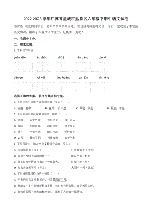 2022-2023学年江苏省盐城市盐都区六年级下期中考试语文试卷（含答案解析）