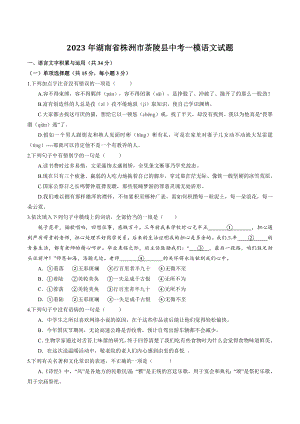 2023年湖南省株洲市茶陵县中考一模语文试卷（含答案）