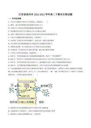 江苏省徐州市2021-2022学年高二下期末生物试卷（含答案解析）