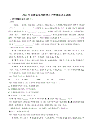 2023年安徽省芜市南陵县中考模拟语文试卷（含答案解析）