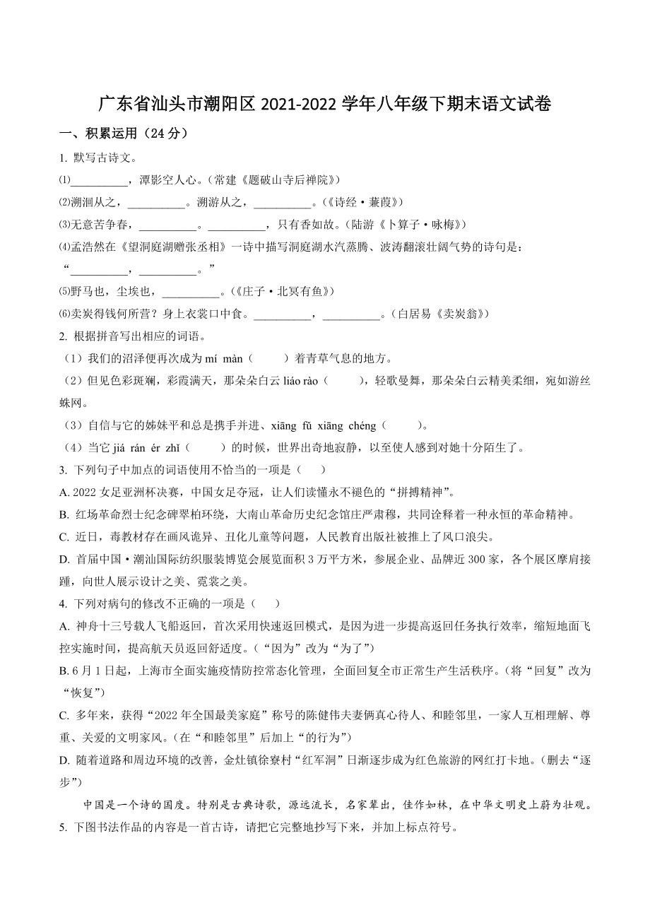 广东省汕头市潮阳区2021-2022学年八年级下期末语文试卷（含答案解析）_第1页