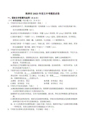 2023年湖南省株洲市中考语文一模试卷（含答案）