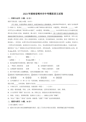 2023年湖南省郴州市中考模拟语文试卷（含答案）