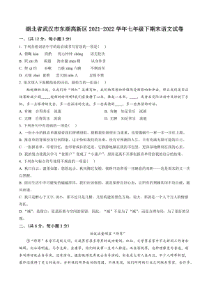 湖北省武汉市东湖高新区2022年七年级下期末语文试卷（含答案解析）