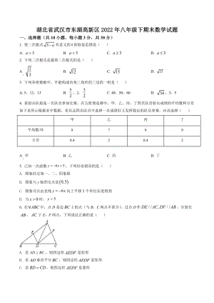 湖北省武汉市东湖高新区2022年八年级下期末数学试卷（含答案解析）