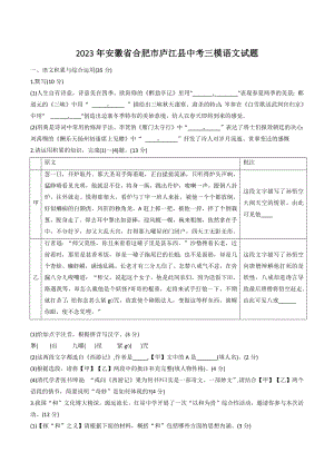 2023年安徽省合肥市庐江县中考三模语文试卷（含答案）