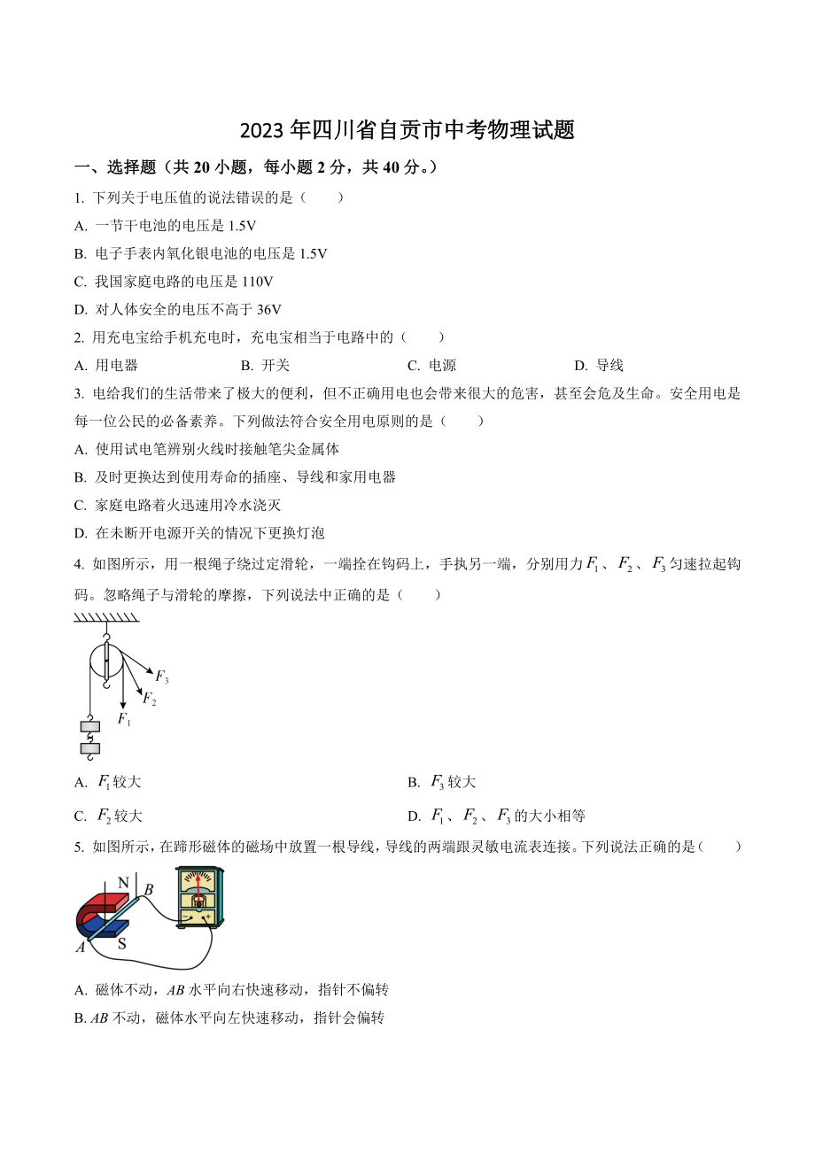 2023年四川省自贡市中考物理试卷（含答案解析）_第1页