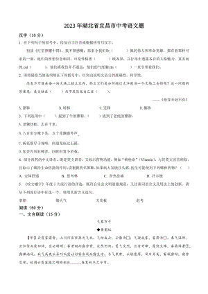 2023年湖北省宜昌市中考语文试卷（含答案解析）