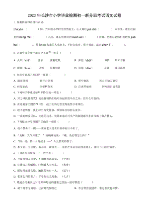 2023年湖南省长沙市小升初语文试卷（含答案解析）