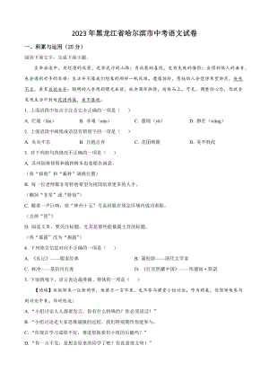 2023年黑龙江省哈尔滨市中考语文试卷（含答案解析）