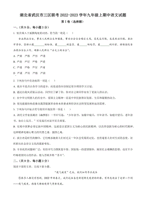 湖北省武汉市三区联考2022-2023学年九年级上期中语文试卷（含答案解析）