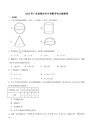 2024年广东省惠州市中考数学模拟检测试卷（含答案）