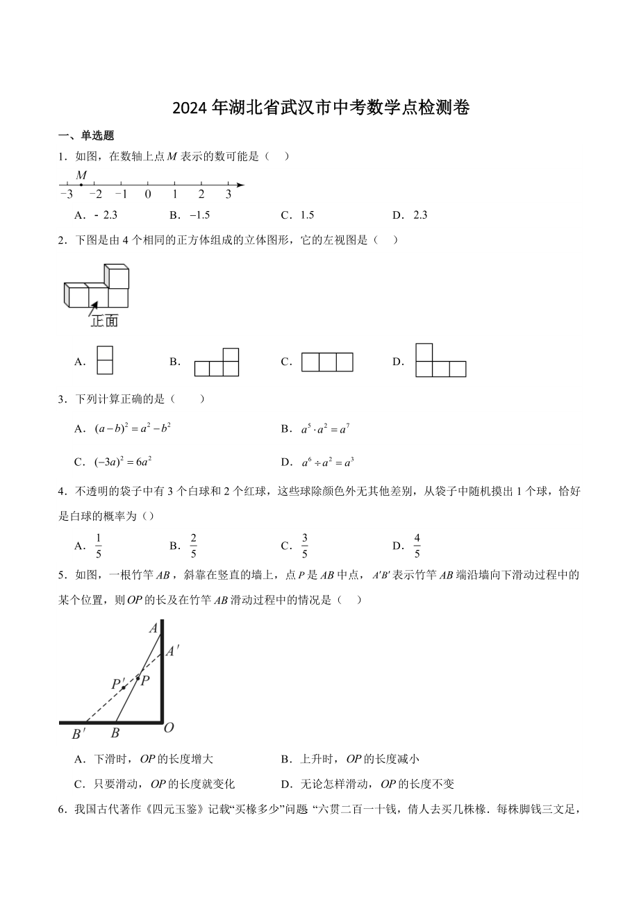 2024年湖北省武汉市中考数学模拟检测试卷（含答案）_第1页