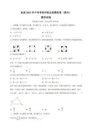 2023年江苏省泰州市中考考前冲刺数学全真模拟试卷（2）含答案解析