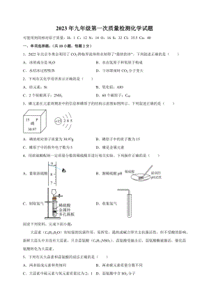 2023年江苏省徐州市县区中考一模化学试卷（含答案解析）