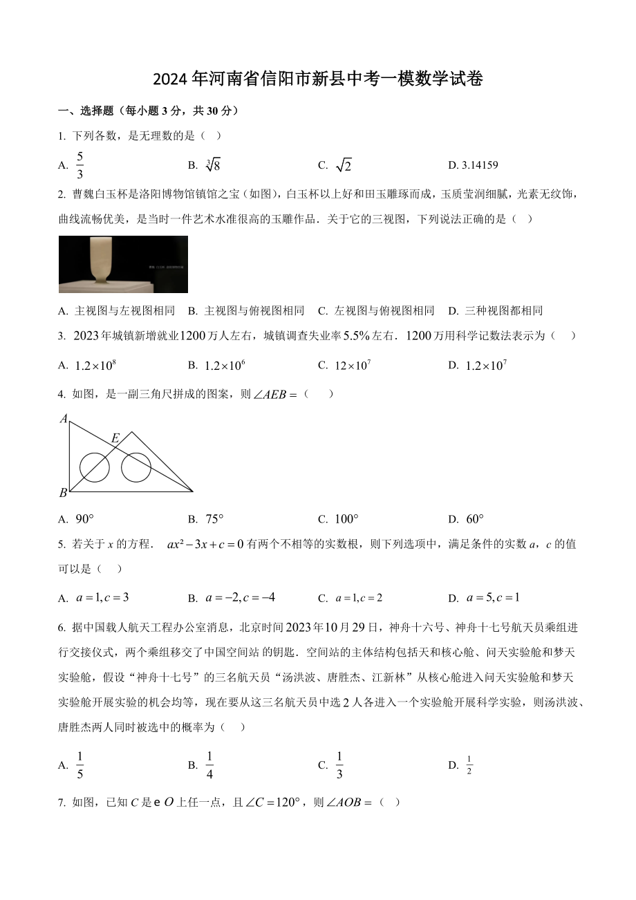 2024年河南省信阳市新县中考一模数学试卷（含答案解析）_第1页