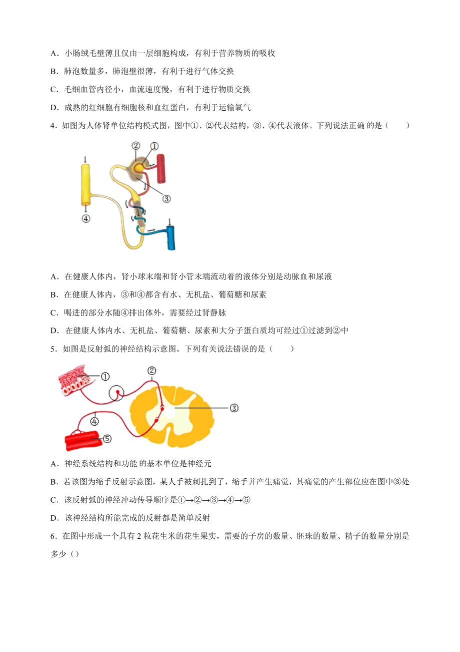 2023年江苏省徐州市中考一模生物试卷（含答案解析）_第2页
